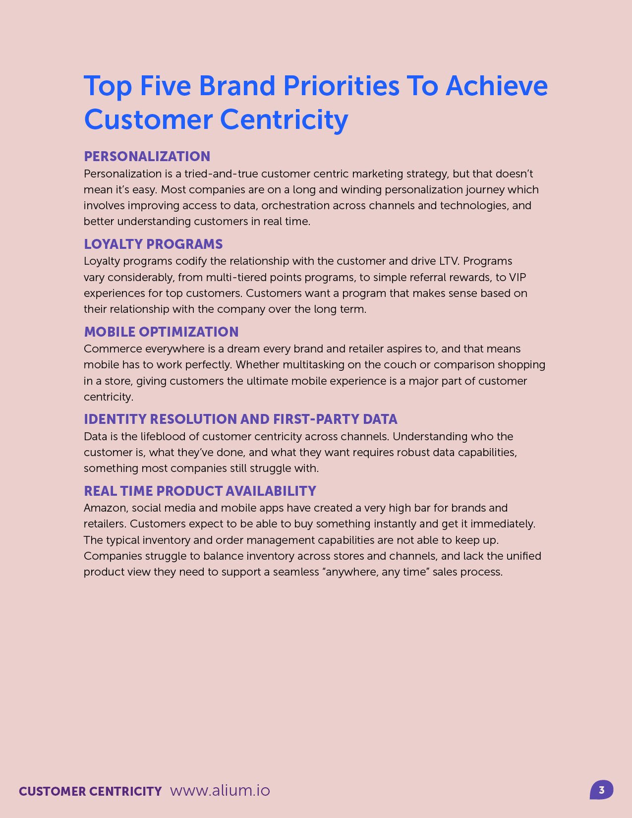 Shoptalk 2025 Alium Report-op-v5v13